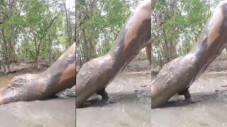 Filthy Mud-slathered Fuck For A Desperate, Horny Man In Xxx Video