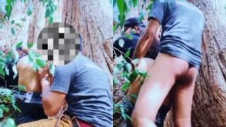 Outdoor Porno Of A Couple Fucking Hard Under A Big Tree